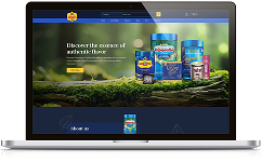 Websites & Web Portals