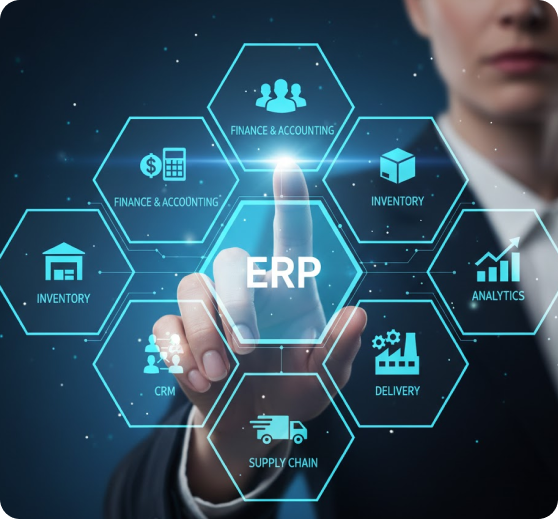 ERP Development & Integration