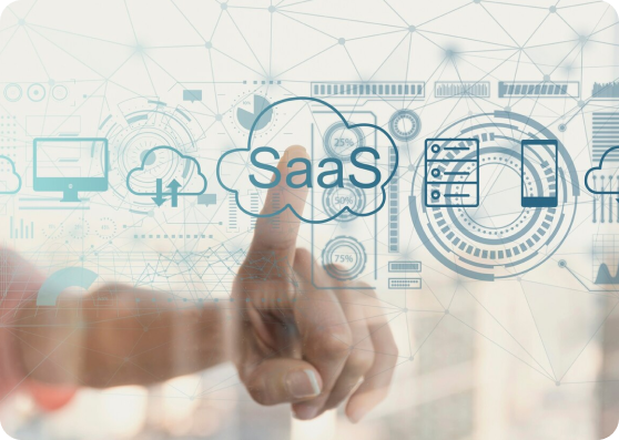 SaaS & Software Product Businesses