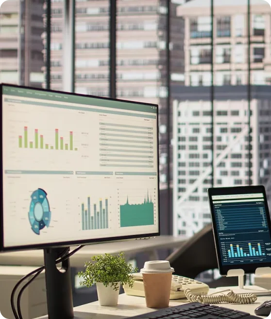 Enterprise Software Solutions