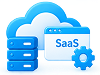 Enterprise Systems & SaaS